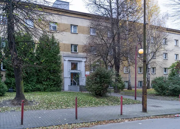 Daire Klimczoka Comfy By Bookinghost